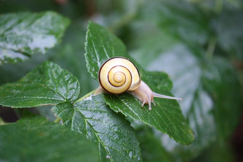 Mindful Sensing